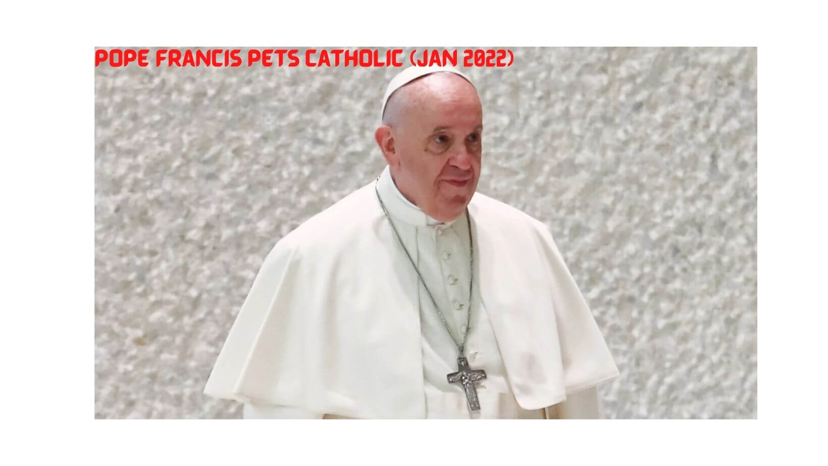 Pope Francis Pets Catholic