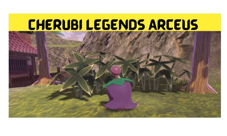 Cherubi Legends Arceus