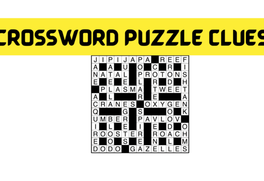 Crossword Puzzle Clues