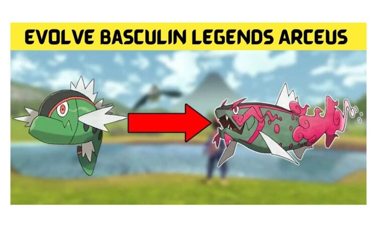 Evolve Basculin Legends Arceus