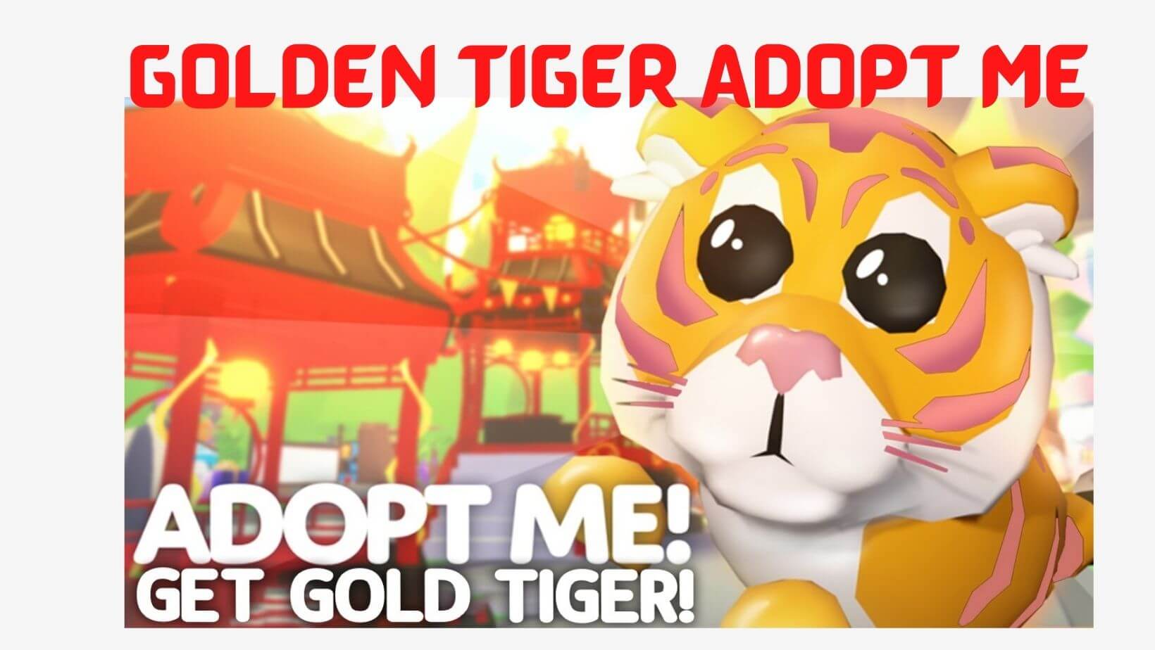 Golden Tiger Adopt Me