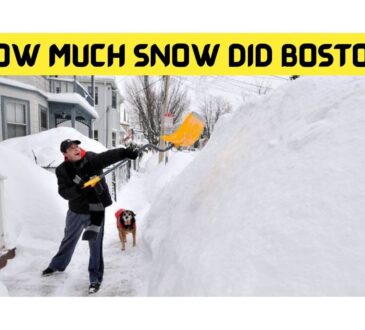 How Much Snow Did Boston