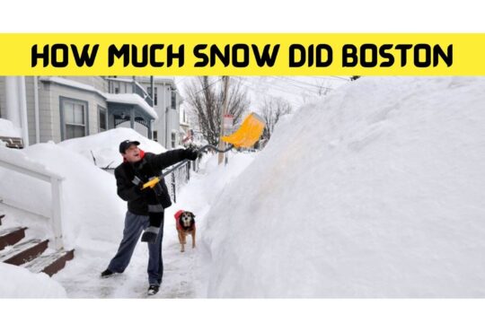 How Much Snow Did Boston