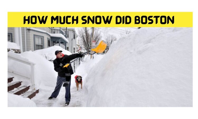 How Much Snow Did Boston