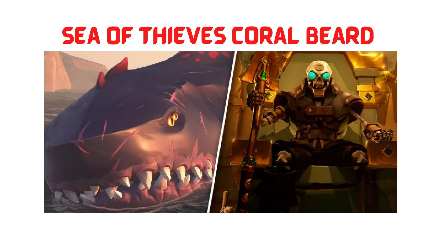 Sea Of Thieves Coral Beard