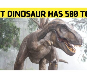 What Dinosaur Has 500 Teeth