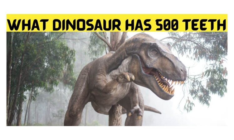 What Dinosaur Has 500 Teeth