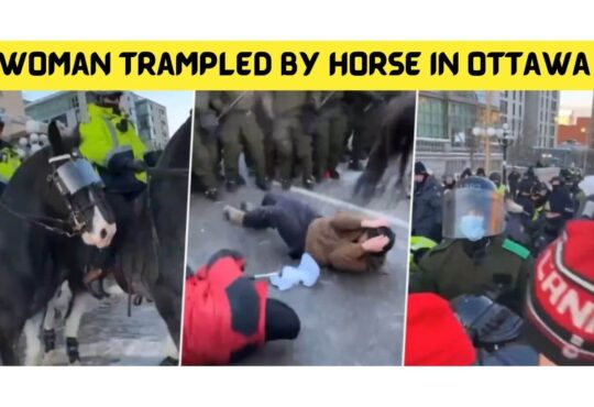 Woman Trampled by Horse in Ottawa