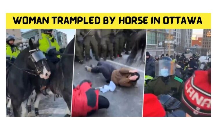 Woman Trampled by Horse in Ottawa