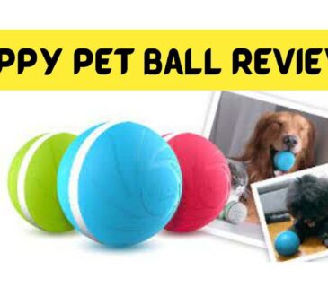Zippy Pet Ball Review