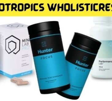 Best Nootropics Wholisticresearch