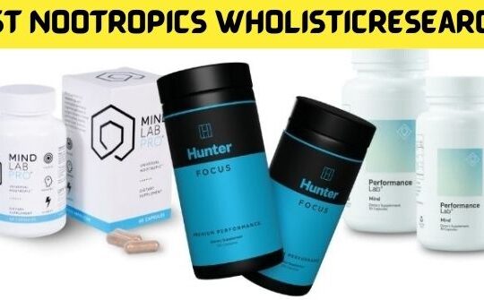 Best Nootropics Wholisticresearch