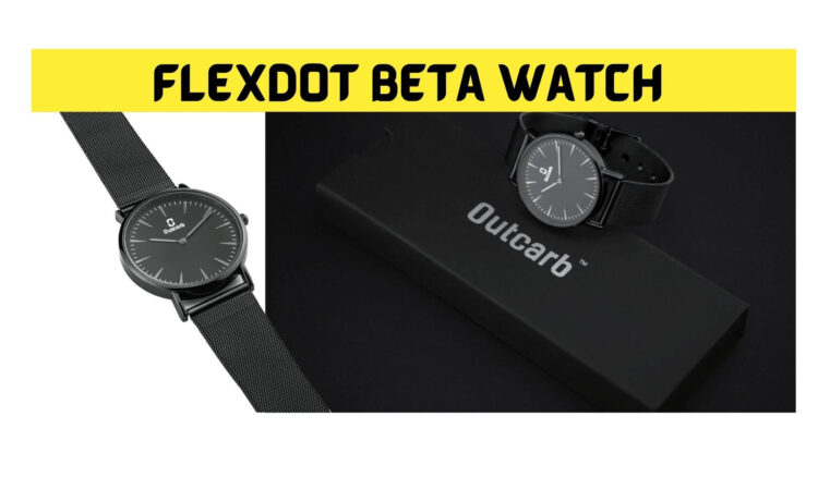 Flexdot Beta Watch