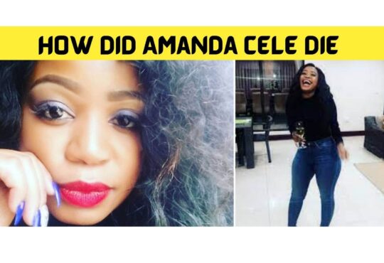 How Did Amanda Cele Die