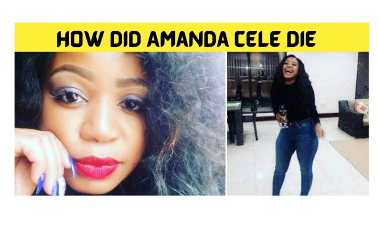 How Did Amanda Cele Die