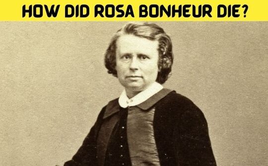 How Did Rosa Bonheur Die