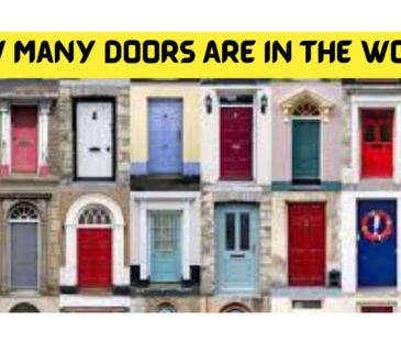 How Many Doors Are In The World