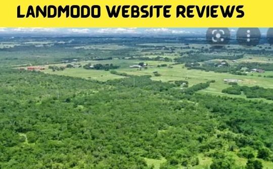 Landmodo Website Reviews