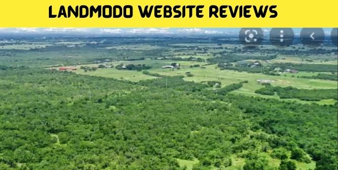 Landmodo Website Reviews