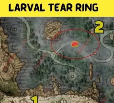 Larval Tear Ring