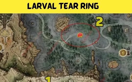 Larval Tear Ring