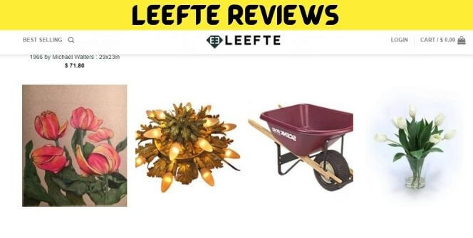 Leefte Reviews