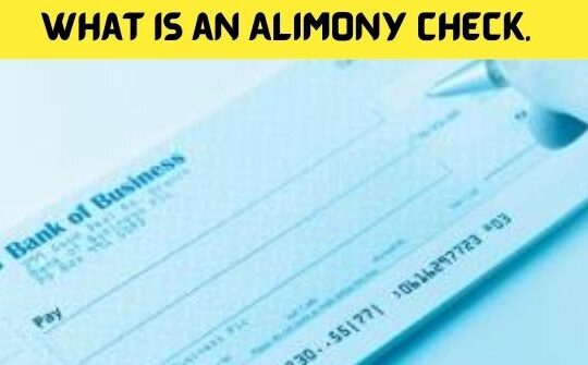 What Is an Alimony Check