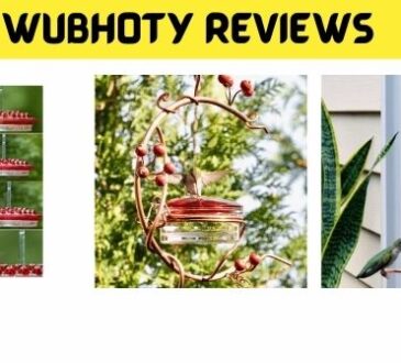Wubhoty Reviews