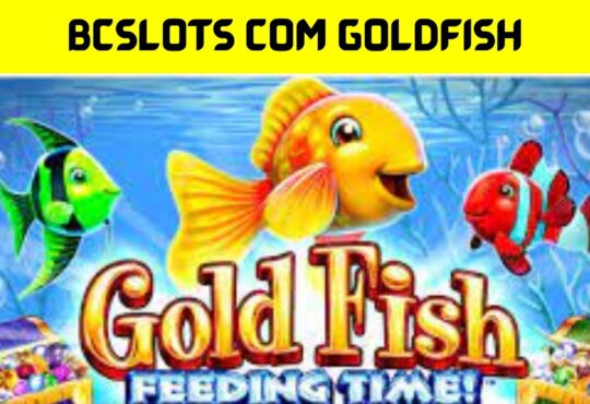 Bcslots com Goldfish