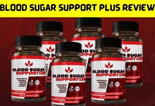 Blood Sugar Support Plus Review