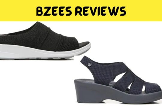 Bzees Reviews