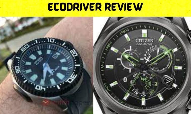 Ecodriver Review