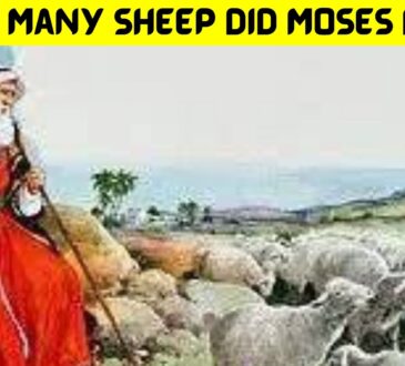 How Many Sheep Did Moses Have