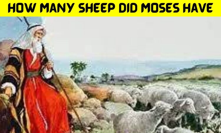How Many Sheep Did Moses Have