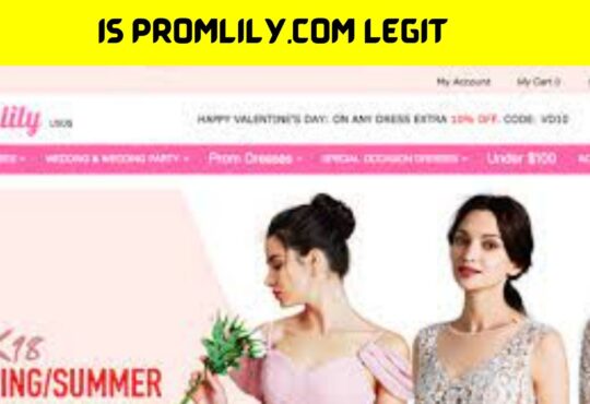 Is Promlily.com Legit