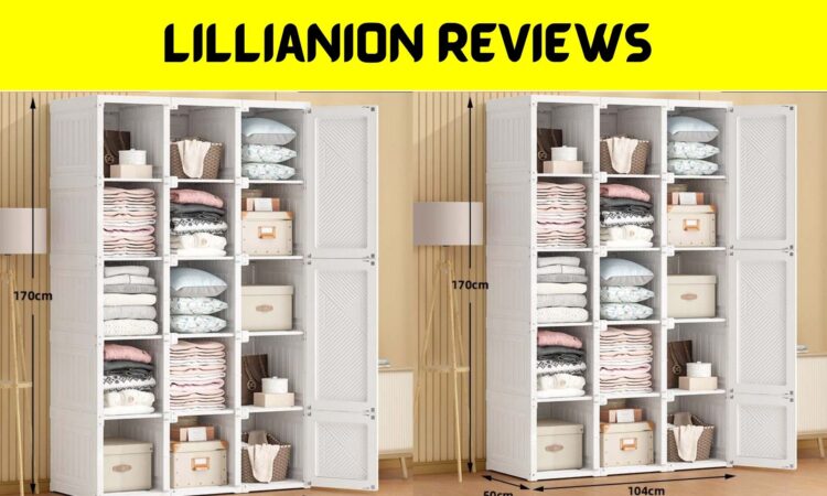 Lillianion Reviews