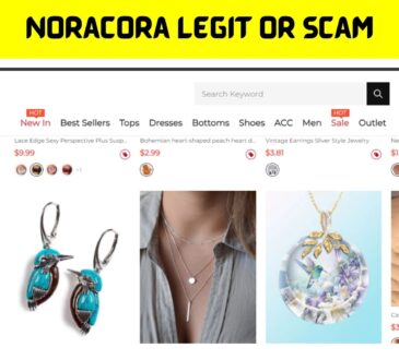 Noracora Legit or Scam