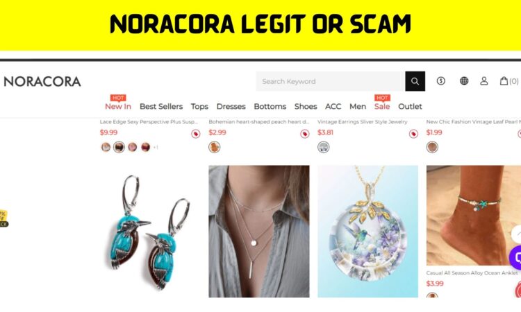 Noracora Legit or Scam
