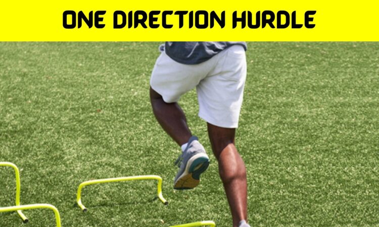 One Direction Hurdle