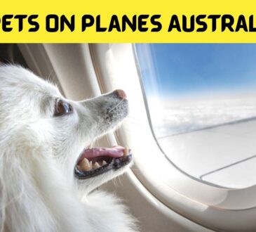 Pets on Planes Australia