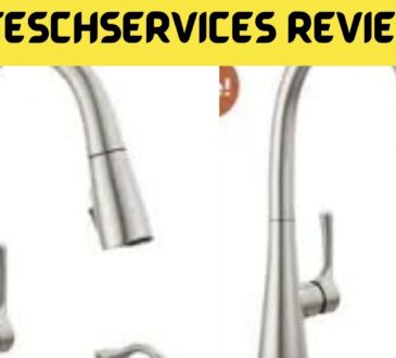 Solteschservices Reviews