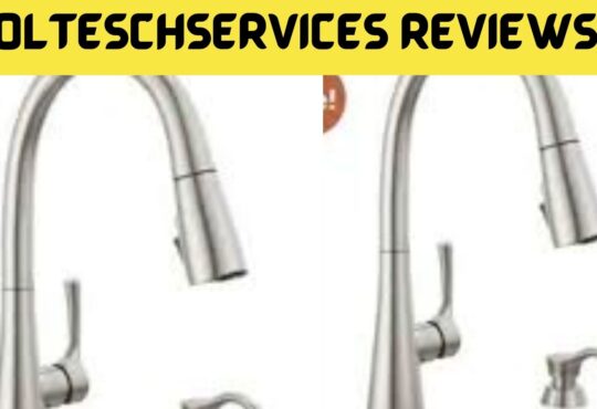 Solteschservices Reviews