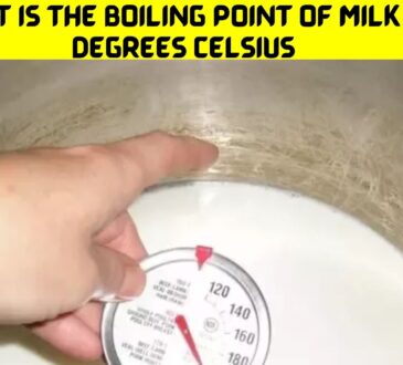 What Is The Boiling Point Of Milk In Degrees Celsius