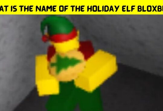 What Is the Name of the Holiday Elf Bloxburg