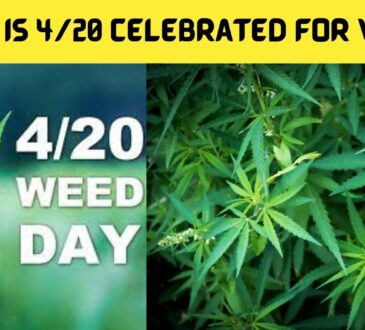 Why Is 420 Celebrated for Weed