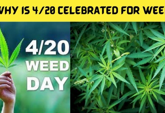 Why Is 420 Celebrated for Weed