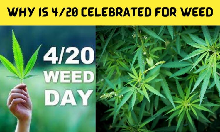Why Is 420 Celebrated for Weed