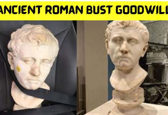 Ancient Roman Bust Goodwill