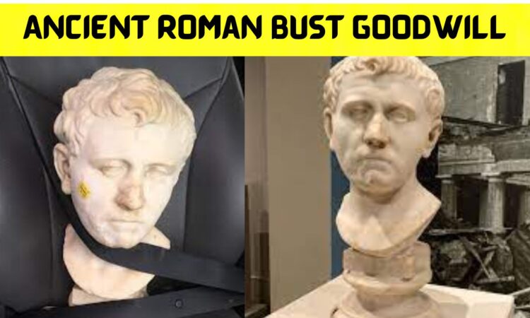 Ancient Roman Bust Goodwill