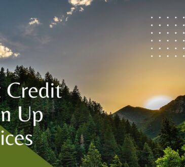 Best Credit Clean Up Services